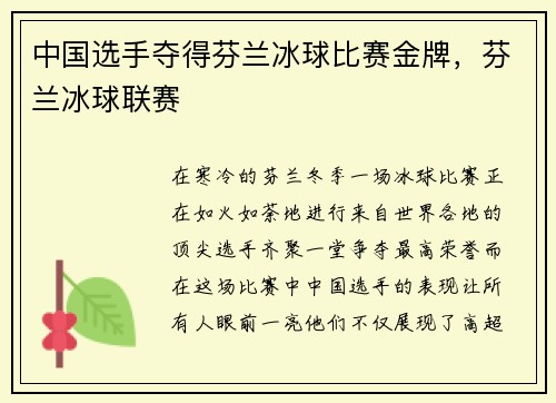 中国选手夺得芬兰冰球比赛金牌，芬兰冰球联赛